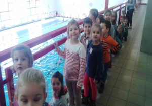 Zdjęcie 5 na 10