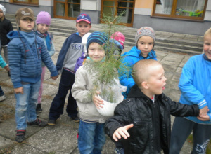 "6-latki wzbogacają ogród przedszkolny - posadziły w nim sosny i floksy