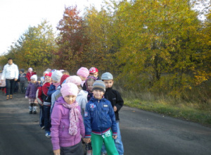 Wycieczka 5- i 6-latków do lasu - poszukiwanie darów jesieni