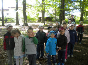 5-latki na łonie natury - wycieczka do lasu