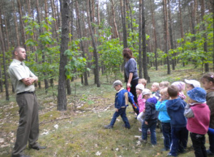 Wycieczka 3-latków do lasu w Ostrowie
